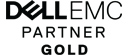 Dell EMC partner gold